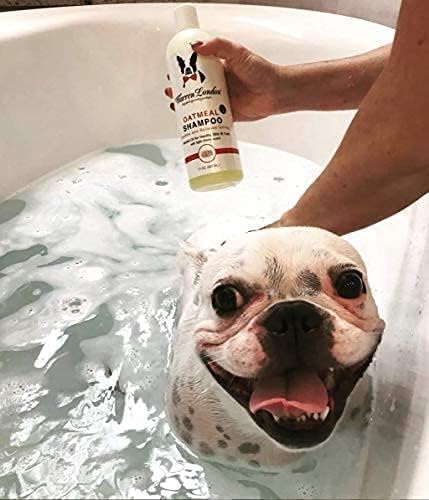 Warren London Oatmeal Dog Shampoo - Soothing Relief for Itchy, Flaky, Dry, & Sensitive Skin - Infused with Vitamins & Neem Oil - Stops Scratching - Made in USA - 17 oz