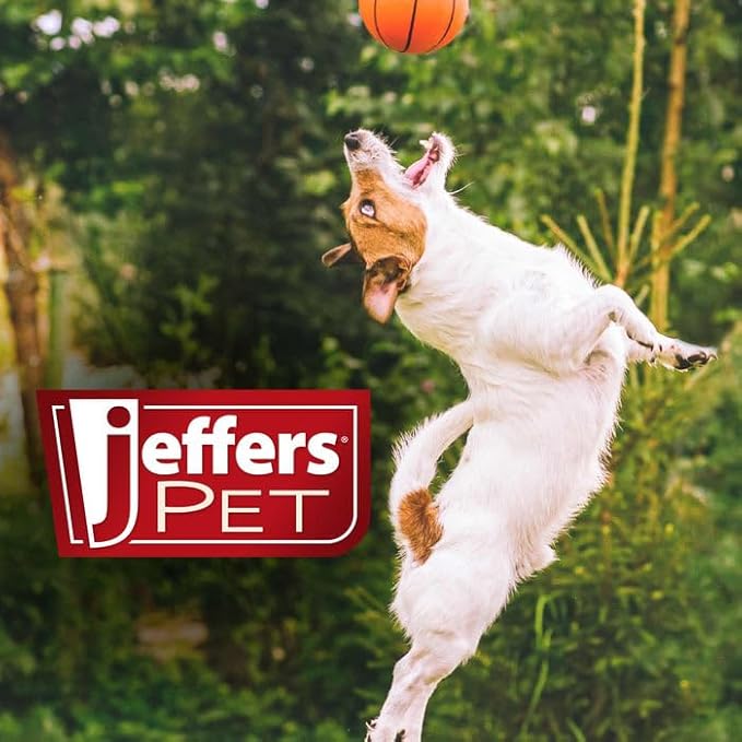 Jeffers Tea Tree Medicated Shampoo Gallon