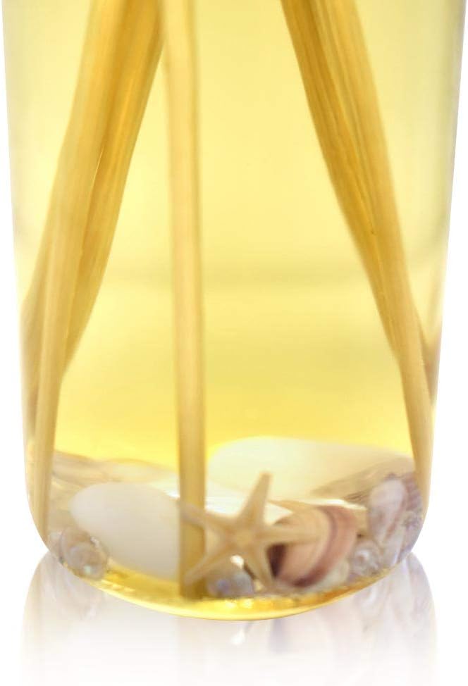 Urban Naturals Ocean Mist & Sea Salt Reed Diffuser Set | Made with Essential Oils & Real Seashells | Decorative Air Freshener Room Diffuser