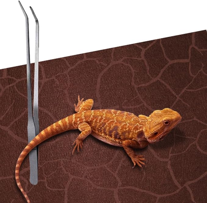 2 Pack Reptile Carpet Desert Reptile Mat & Reversible Substrate, Terrarium Liner Bedding, for Lizard,Chameleon,Gecko,Snake,Ceratophrys with Tweezers Feeding Tong (10 Gallon(21.5x11.5in))