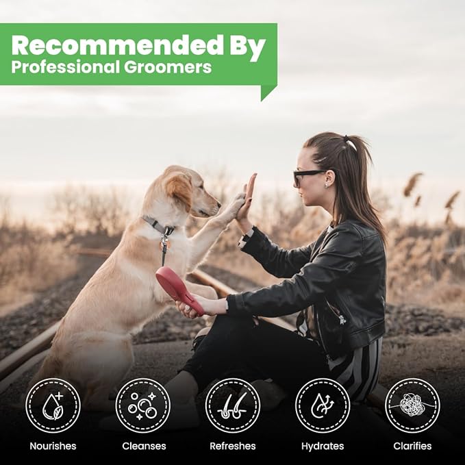 Best Shot Scentament Spa Caressing Body Wash, Cucumber Melon, 1 Gallon