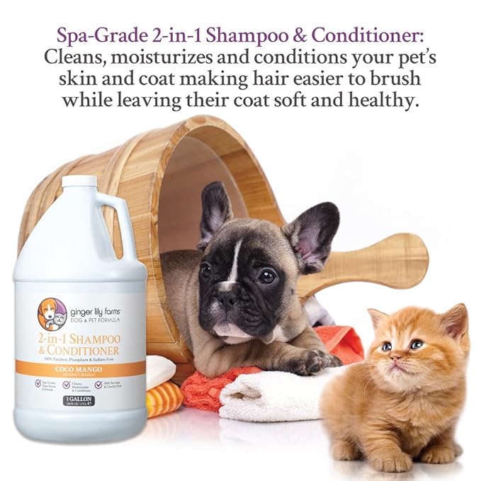 Ginger Lily Farms Dog & Pet Formula 2-in-1 Shampoo & Conditioner, 100% Vegan & Cruelty-Free, Coco Mango, 1 Gallon Refill (128 fl oz)