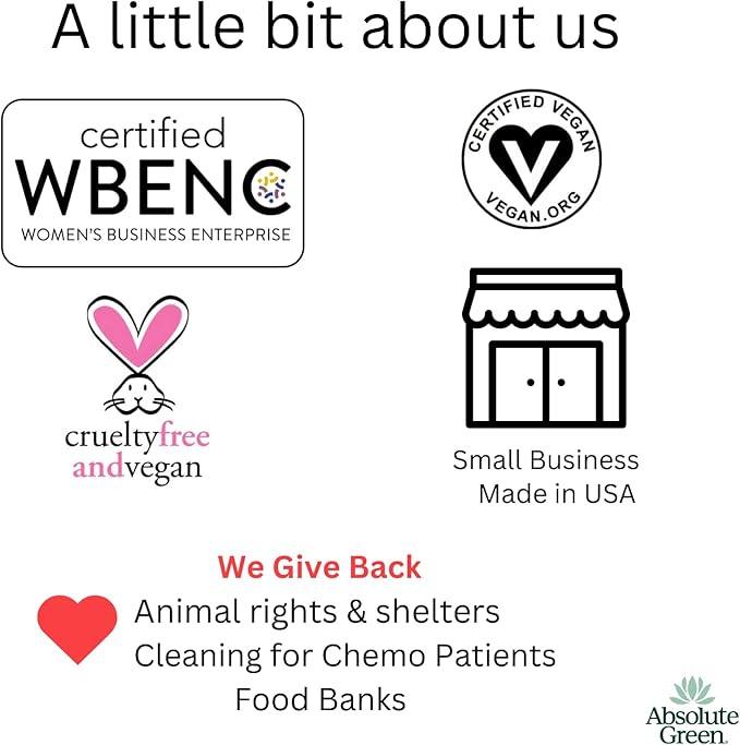 Absolute Green Air Freshener Room Spray, Non-Toxic, Cover Odors, Safe around Kids and Pets, Natural Ginger Spice Scent 4oz (Pack of 2)