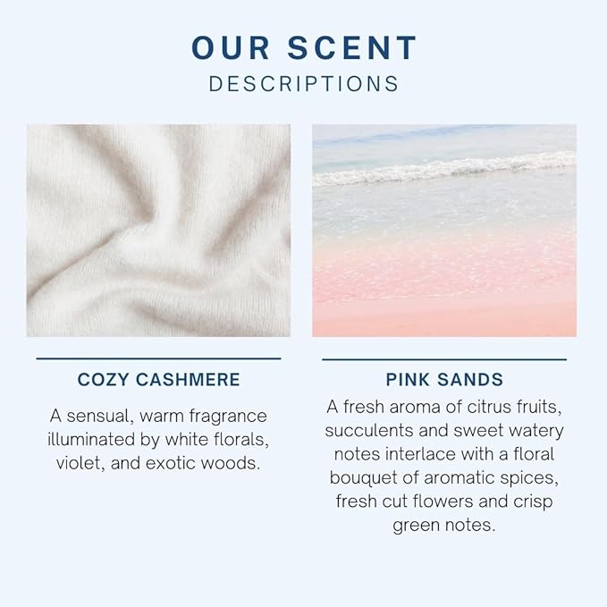 CE Craft Hanging Car Air Freshener – Fragrance Oil Diffuser with Essential Oils – Long-Lasting Aromatherapy Scents for Automobiles – 4 Pack, Floral