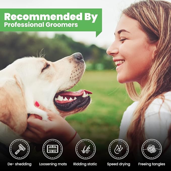 Best Shot Scentament Spa Calming Body Wash, Lavender Aloe, 1 Gallon