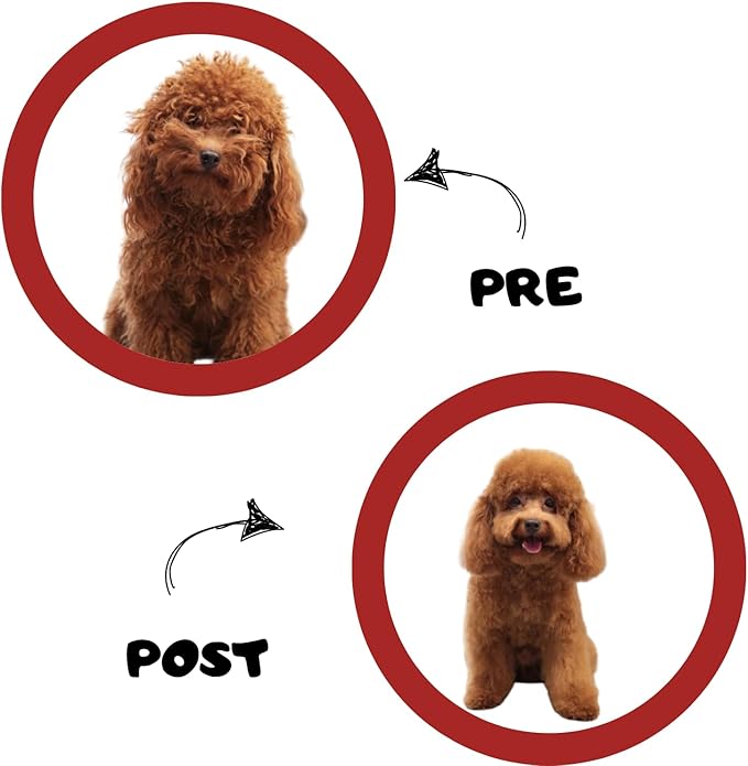 Waterless Cat & Dog Shampoo – 200ml (6.76oz) Strawberry Scented Dry Foam Cleanser & Conditioner – No-Rinse Deshedding Shampoo for Smelly Pets