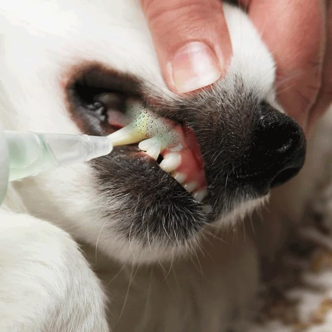 Pet Kiss Brighter Bite Dental Gel for Pets, 4-Ounce