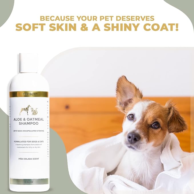 PetScy - Aloe & Oatmeal Shampoo for Dogs and Cats, Moisturizing Pet Shampoo for Skin Relief, All-Natural, Soap-Free & Gentle, Pina Colada Scent, 12 Oz