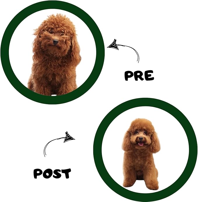 Waterless Cat & Dog Shampoo with Aloe Vera – 200ml No-Rinse Foam Cleanser & Conditioner – Dry Shampoo for Smelly Pets