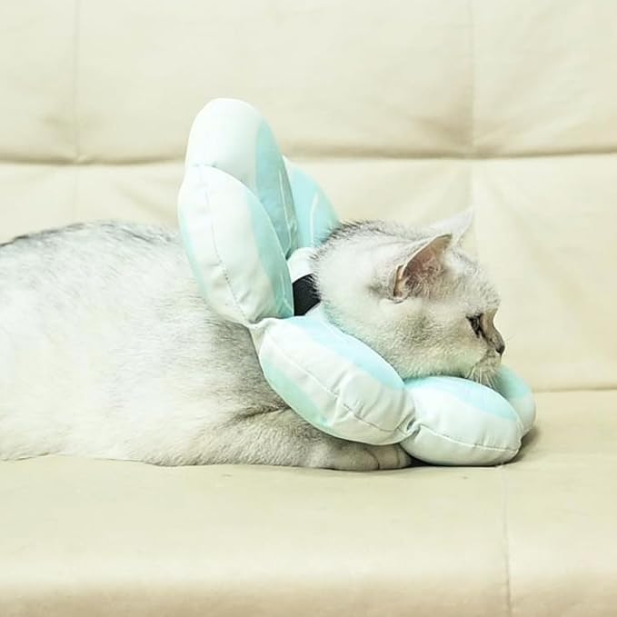 PUPTECK Cat Cone Collar Soft, Adjustable Protective Recovery Flower Collar Alternative, Comfortable Elizabethan Cat Collar Lightweight Stop Licking Neck Cone for Cats After Surgery, Blue, M