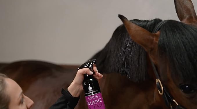 Tack Shack of Ocala- Carr & Day & Martin Canter Mane & Tail Spray and Canter Coat Shine Spray for Horses (Canter Mane & Tail Spray (500mL))