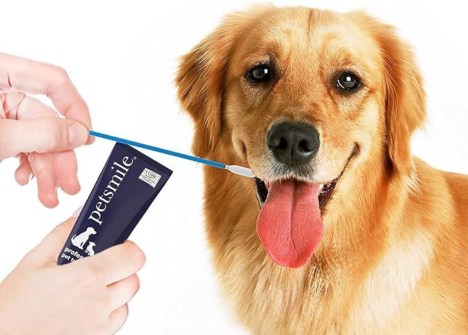 Petsmile Professional Pet Toothpaste Applicator Swabs - Cat & Dog Toothbrush Alternative - Dental Care for Small & Large Pets - Cat & Dog Teeth Cleaning - Dog Toothpaste Not Included (50 Swabs)
