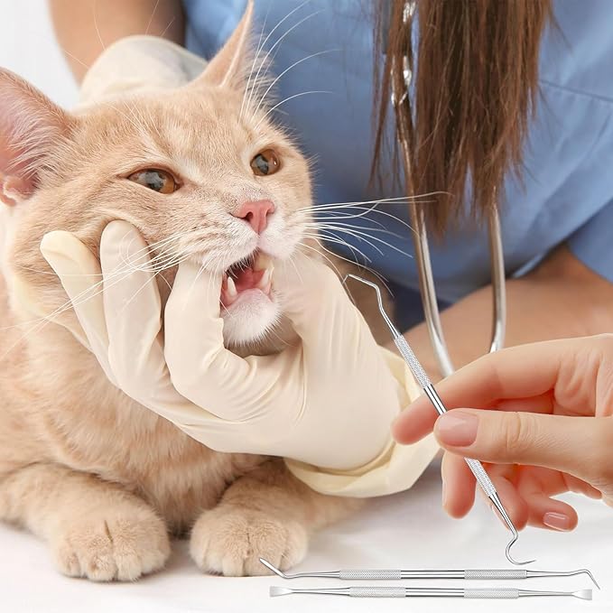 4 Pack Stainless Steel Pet Dental Tools for Dogs and Cats, Professional Tartar Remover Scraper Kit for Teeth Cleaning, Plaque and Calculus Control, Oral Care Hygiene for Home or Vet Use