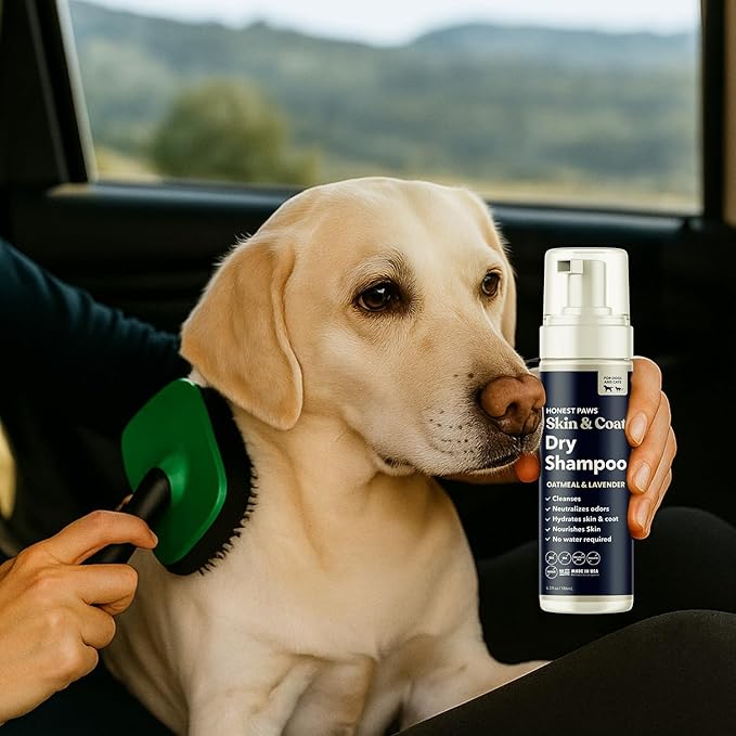 Honest Paws Dog Dry Shampoo - Waterless No Rinse Foaming Formula Reducing Itch Cleanse Hydrate Nourish Dry Skin and Smelly Coat Help Decrease Odor Shedding and Allergies - Oatmeal & Lavender - 6.3 oz