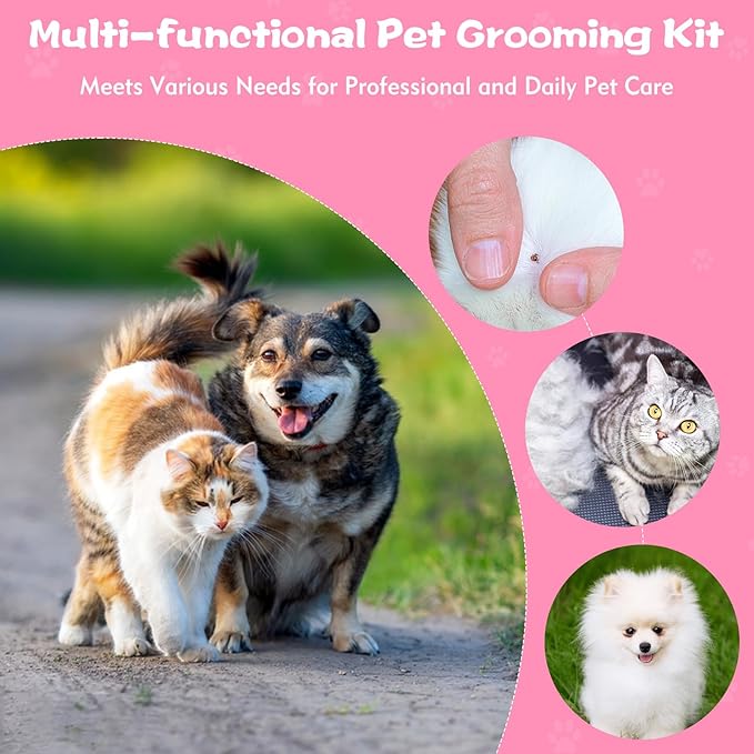 6-Pack Flea Comb for Dogs and Cats, Fine & Wide Tooth Stainless Steel Lice Comb, Tick Removal Tool, Tear Stain Remover, Dematting Brush - Professional Pet Grooming Kit for All Types of Pets