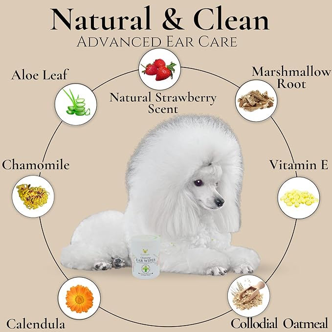 EcoBark Natural Ear Finger Wipes for Dogs - Dog Ear Cleaner Strawberry Scented - Ear Wipes with Finger Pad in Ear Solution - Gentle Otic Grooming Supplies to Soothe Dog Ear Itching - Cleanse Away Dirt