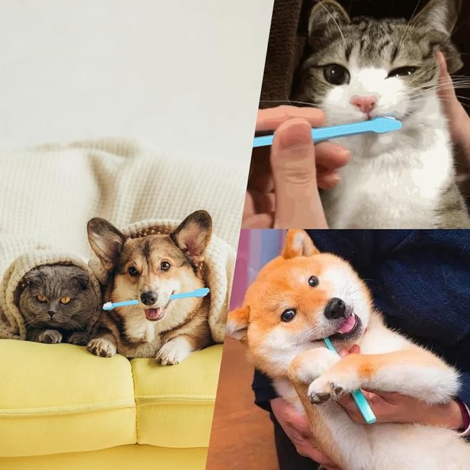 200 PCS Pet Toothbrush Bulk Double Headed Pet Toothbrush Puppy Tooth Brushing Kit for Pets Teeth Cleaning(Blue)