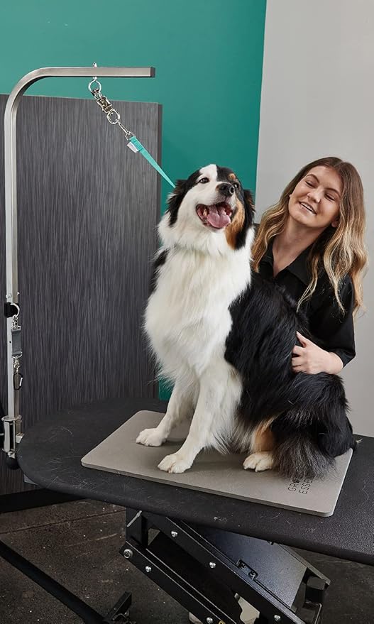 22" Grooming Loops in Turquoise - Secure and Stylish Restraints for Pet Grooming - Set of Essential Tools for Professional and Home Grooming