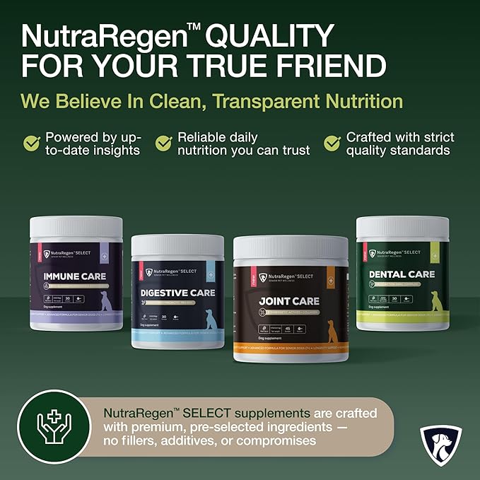 Select Senior Dog Dental Powder 30 Servings | Beef Flavored Dog Breath Freshener for Oral & Gum Health | Pet Dental Powder Helps Manage Plaque & Tartar Buildup and Chewing Issues | 4.6 Oz