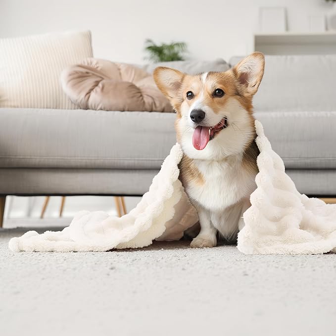 12 Pack Small Dog Blanket 23 x 16 Inch Soft Flannel Pet Blankets Bulk Puppy Fluffy Calming Washable Fleece Throws for Small Dog Puppy Cat Kitten Animals Doghouse Bed Sofa Car (Multicolor)