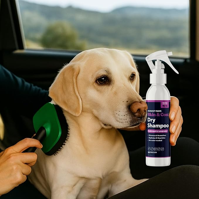Honest Paws Dog Dry Shampoo - Waterless No Rinse Foaming Formula Reducing Itch Cleanse Hydrate Nourish Dry Skin and Smelly Coat Help Decrease Odor Shedding and Allergies - Oatmeal & Lavender - 8 fl oz