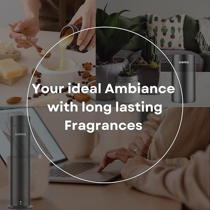 Scentia Santal Diffuser Oil 500ml – Luxury Santal-Inspired Oil – Cedarwood, Amber, Musk, Vanilla – Essential Oil Blend for Large Rooms, Cold-Air Diffusers, HVAC & Ultrasonic, Thanksgiving Gift