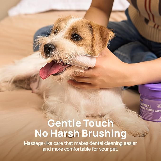 HICC PET Pro Dog Teeth Cleaning Wipes, Vet-Recommended Dental Care Wipes for Plaque & Fresh Breath, No-Rinse Dog Tooth Brushing Kit, Fresh Breath Oral Care, 50 Count, Unscented