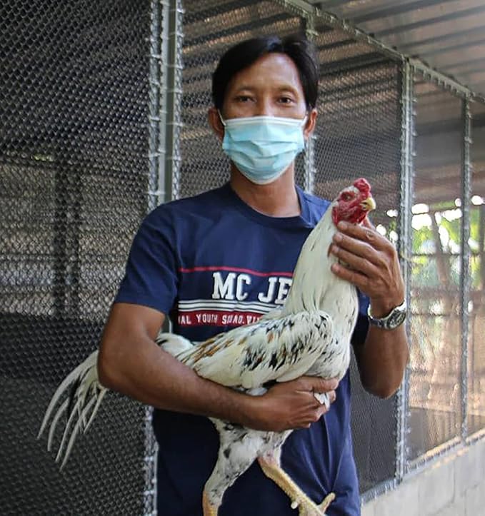 HULX Super Pigeon 100 Tablets, Bird Booster & Rooster Booster Speed Vitamins Health Chicken Supplement Increasing Energy Flying, Muscle Bone, Reduce Cramp Feed All Poultry Hen Food