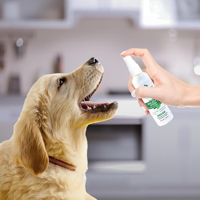 Lillian Ruff Breath Freshener Dental Care Spray - Dog Oral Health Teeth Cleaning Formula Targets Bad Dog Breath, Plaque & Tartar Build-Up, Supports Oral Care, Gum Health & Immune System (Gallon)