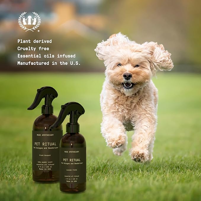 Muse Apothecary Pet Ritual Pet Cologne Spray for Dogs - Dog Perfume Spray Long Lasting After Bath - Pet Perfume for Dogs - Essential Oils Infused - 8oz, Lavender Fields