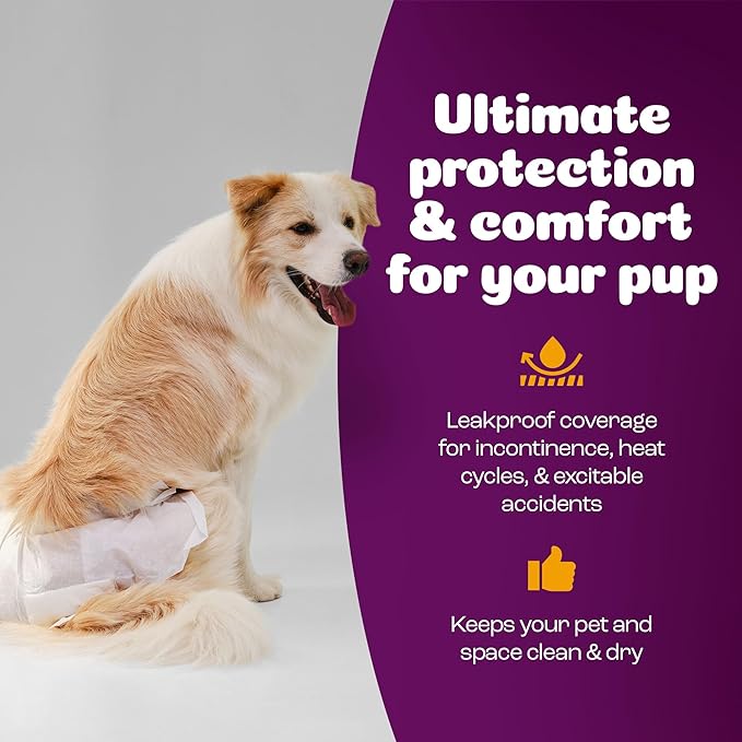 Inspire Pet Care Dog Diapers Female Dogs | Bulk Value Doggie Incontinence, Accidents, for Heat, Pee or Period and Housebreaking (X-Large (56 Count))