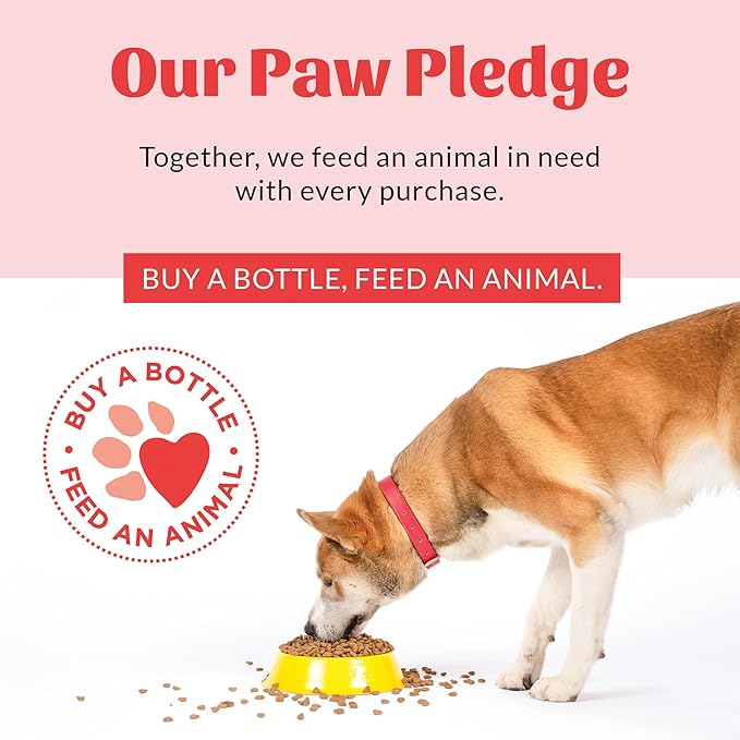 Skout's Honor Probiotic Pet Shampoo & Conditioner with Avocado Oil & Omega-3s, 97% Natural, Paraben & Sulfate-Free, Cruelty-Free, 16oz, Dog of The Woods, 2-Pack