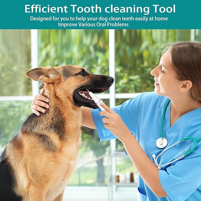 KT Dog Teeth Cleaning Kit for Small & Large Dogs – Complete Pet Dental Care Set with Enzymatic Toothpaste, Dual-Head & Finger Toothbrush – Plaque & Tartar Remover, Fresh Breath Oral Hygiene Solution