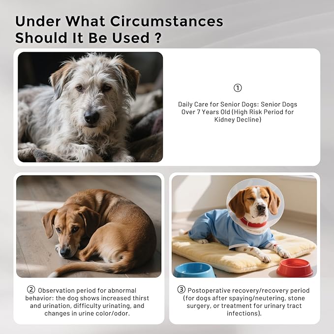 Health Monitoring Puppy Pee Pad with Color Indicators, 22"x22" 5 Counts - 6-Parameter Urine Test, Disposable Dog Potty Training Pads , Odor-Control, Super Absorbent & Leak-Proof