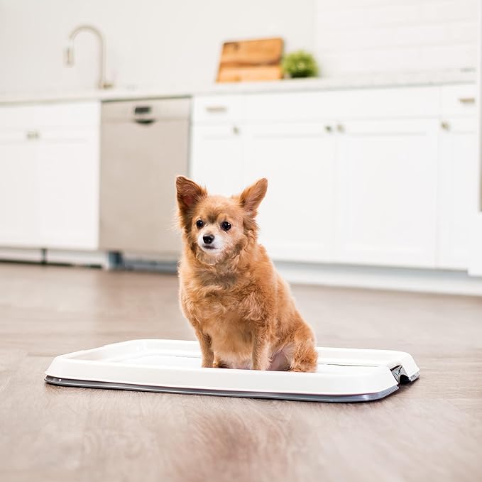 IRIS USA Pee Pad Holder - Small Dog Pad Holder with Secured Latches, Non-Skid Feet, High Polish Finish for Easy Cleaning, Leak Protection, Fits 17"x23" Pad, Dark Gray