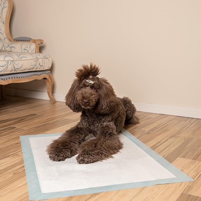 Best Pet Supplies XL Puppy Pads 40 Count - Super Absorbent Dog Training Pads, Quick-Dry, Odor Control, Disposable Pee Pads, Leak-Proof Wee Wee Pads for Indoor Dogs – Baby Blue XL, 40 Pack