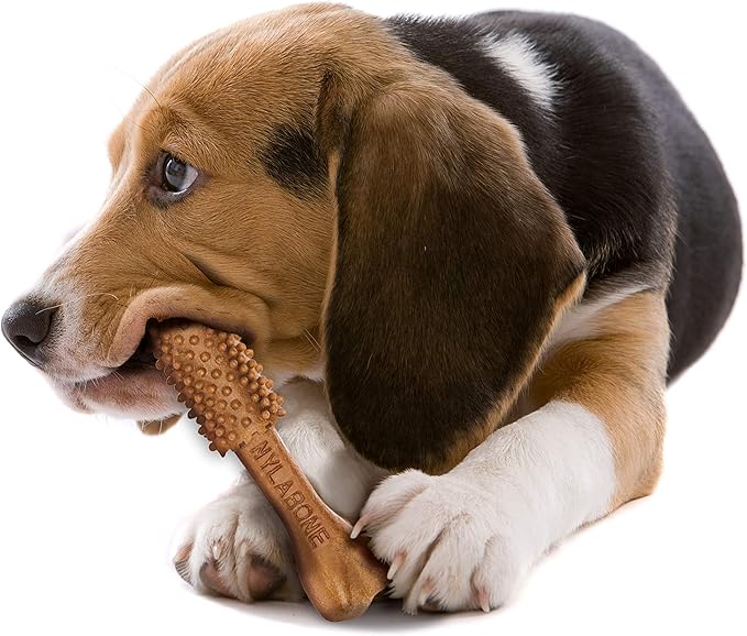 Nylabone Nutri Dent Dog Dental Chews - Natural Dog Teeth Cleaning & Breath Freshener - Dental Treats for Dogs - Filet Mignon Flavor, Medium (20 Count)