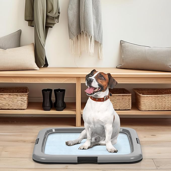 IRIS USA Pee Pad Holder - for Regular Sized Dog and Puppy Pee Pads, Secured Latches, Non-Skid Feet, Polished Finish for Easy Cleaning, Leak Protection, Fits 22"x22" Pad or Larger, 2 Pack, Black/Gray