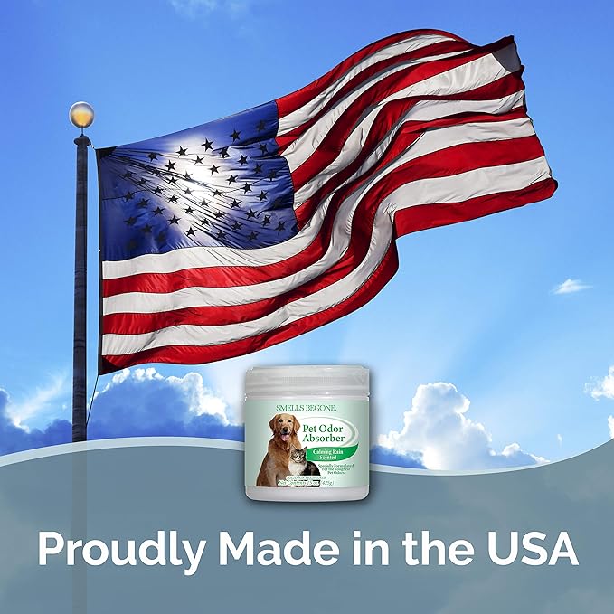 SMELLS BEGONE Pet Odor Absorber Gel - Air Freshener - Absorbs Odor from Bathrooms, Cars, Pet Areas, Boats & RVs - Made with Essential Oils - Calming Rain Scent - 15 Ounce