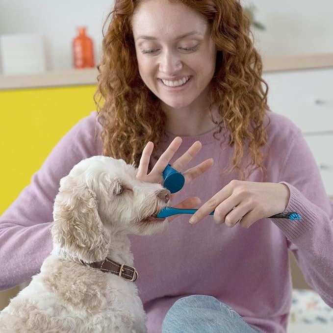 Paw Ready Doggy Breath to Doggy Fresh Dog Dental Care Kit Includes Enzymatic Toothpaste, Dual Brush Head Toothbrush with Angled Bristles and Blue Bite Block to Gently Keep Pets Jaw Open (Blue, Medium)