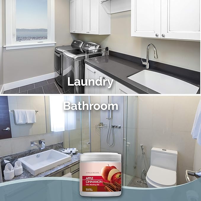 SMELLS BEGONE Air Freshener Odor Absorber Gel - 15 oz, Pack of 2 - Absorbs and Eliminates Odor in Pet Areas, Bathrooms, Cars, & Boats - Made with Essential Oils - Apple Cinnamon Scent