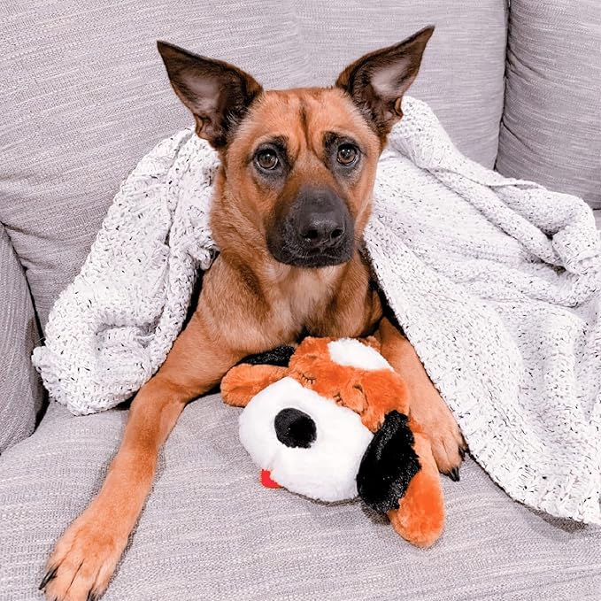 Original Snuggle Puppy Heartbeat Puppy Toy - Heartbeat Puppy for Dogs - Pet Anxiety Relief and Calming Aid - Comfort Dog Toy - Behavioral Training and Sleep Aid Cuddle buddy - Crate Training Essential