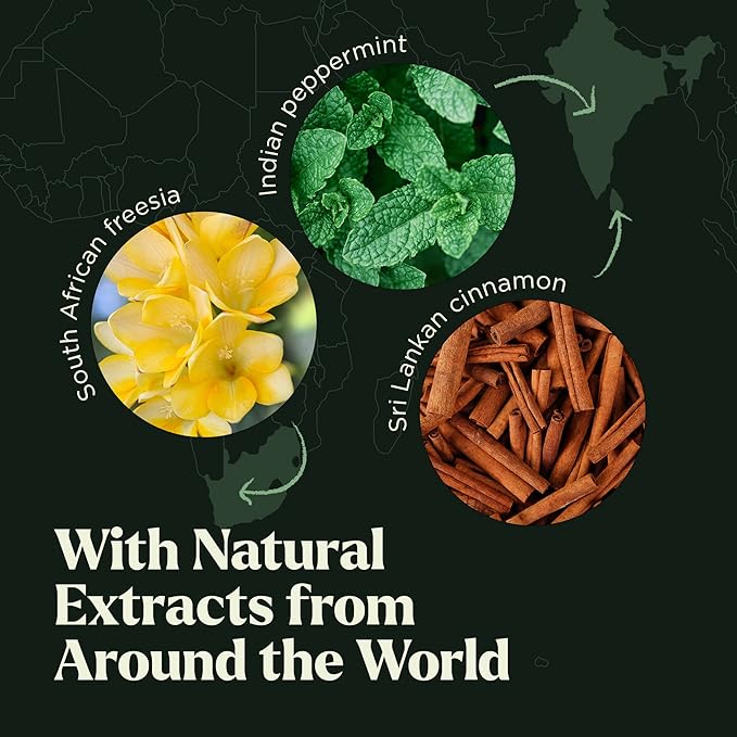 Lagunamoon Fragrance Oil Collection - Premium 16 Piece Gift Set for Diffusers, DIY Candle Making Supplies, Soap Scents, Slime - Aromatherapy Essential Oil Set for Home, Office, Car & Yoga Room