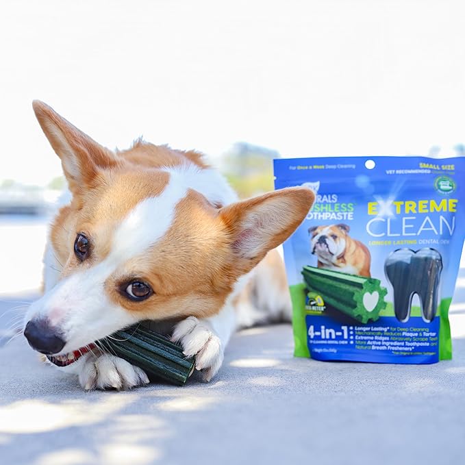 ARK NATURALS Extreme Clean Brushless Toothpaste for Small Breeds, 12 oz Bag, Long-Lasting Dog Dental Chew with Toothpaste Center, Freshens Breath, Reduces Plaque & Tartar (Pack of 6)