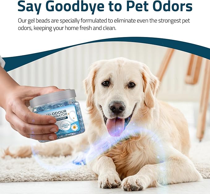 Scented Gel Air Freshener | (Pack of 2) Linen Comfort Gel Air Fresheners for Home, Office, and Small Spaces | Lasts 90 Days for Improved Home Fragrance | Essential House Air Freshener by Perfa