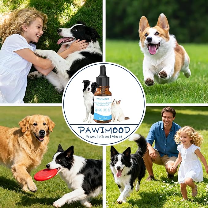 10Pcs Waterless No-Rinse Pet Shampoo Essence for Dogs & Cats, Concentrated Deodorizing Formula Neutralizes Odors & Hydrates Coat with Pomegranate Scent, for Steam Brush,0.34 oz*10