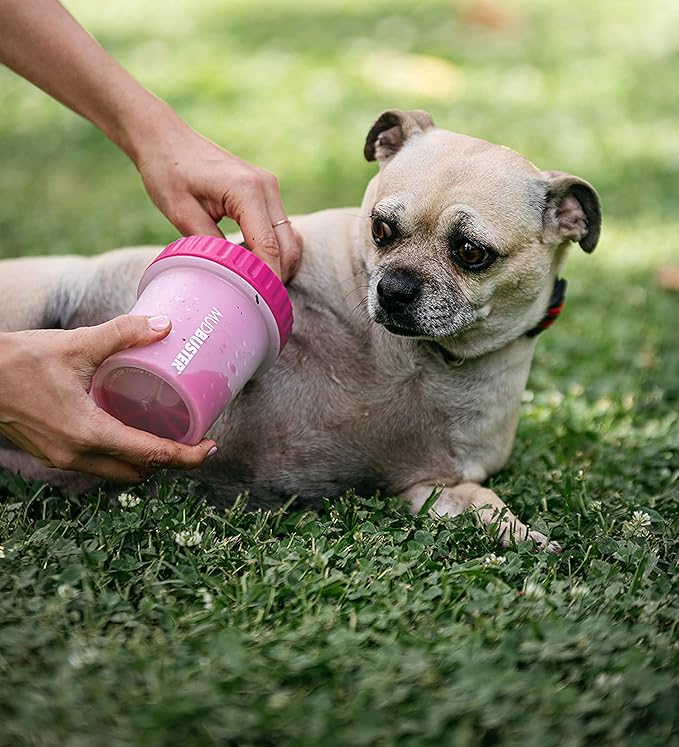 Dexas Dog Paw Cleaner, Small, Pink, Dog Accessories and Pet Supplies