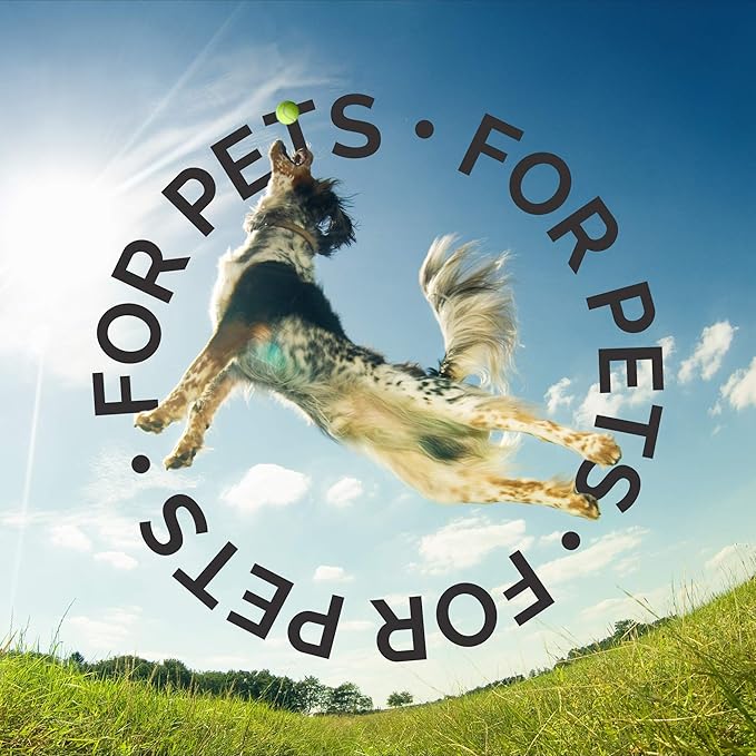 Bark2Basics Melon Cucumber Dog Shampoo, 1 Gallon - Unique Herbal Blend, Professional Grade, Delivers Nutrients to Skin and Coat, Eliminates Smelly Pet Odors