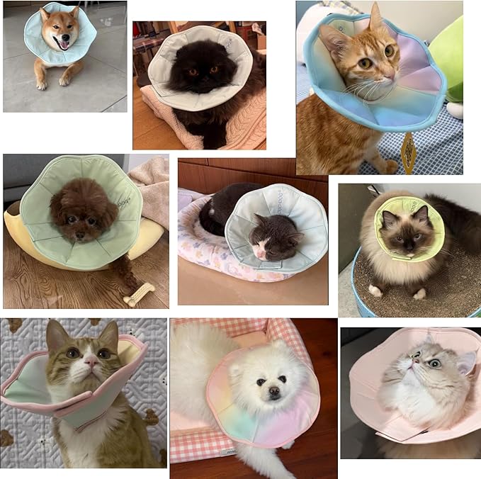 Touchdog Soft Recovery Cone Collar for Cats - Adjustable Elizabethan Collar with Waterproof PU Coating, Lightweight Design, 24.5cm/9.6in Wide Barrier, Foldable & Comfortable (Blue Gradient Color, S)