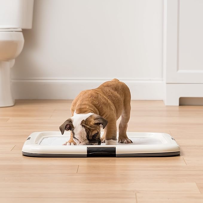 IRIS USA Pee Pad Holder - For Regular Sized Dog and Puppy Pee Pads, Secured Latches, Non-Skid Feet, High Polish Finish for Easy Cleaning, Leak Protection, Fits 22"x22" Pad or Larger, Square, Dark Gray